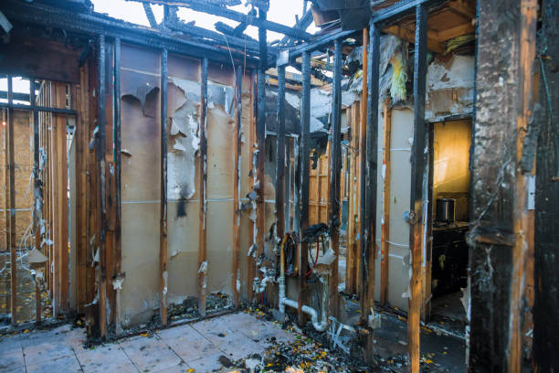 Professional Smoke Damage Removal technician working in Palmdale, CA